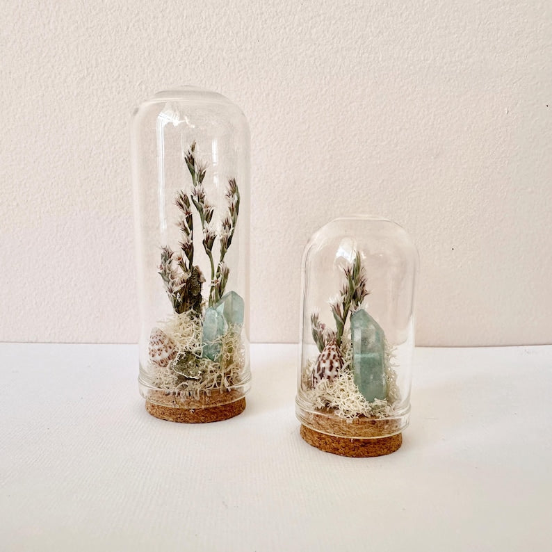 Behind the Glass: How Our Handmade Terrariums Are Crafted