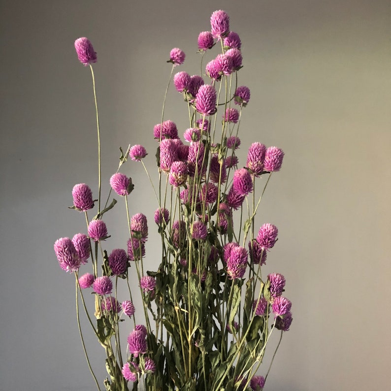 Red Dried Flower Bouquet, 55 cm Long, Natural Red, Home Decoration, Flower Arrangement, DIY Bouquet
