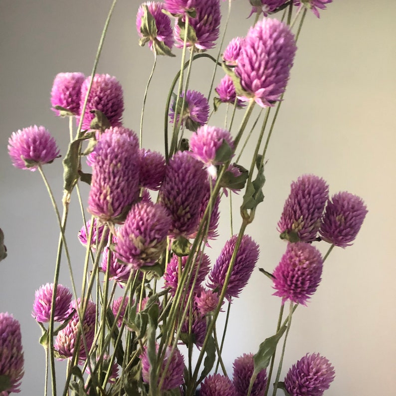 Red Dried Flower Bouquet, 55 cm Long, Natural Red, Home Decoration, Flower Arrangement, DIY Bouquet