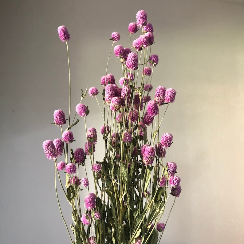 Red Dried Flower Bouquet, 55 cm Long, Natural Red, Home Decoration, Flower Arrangement, DIY Bouquet