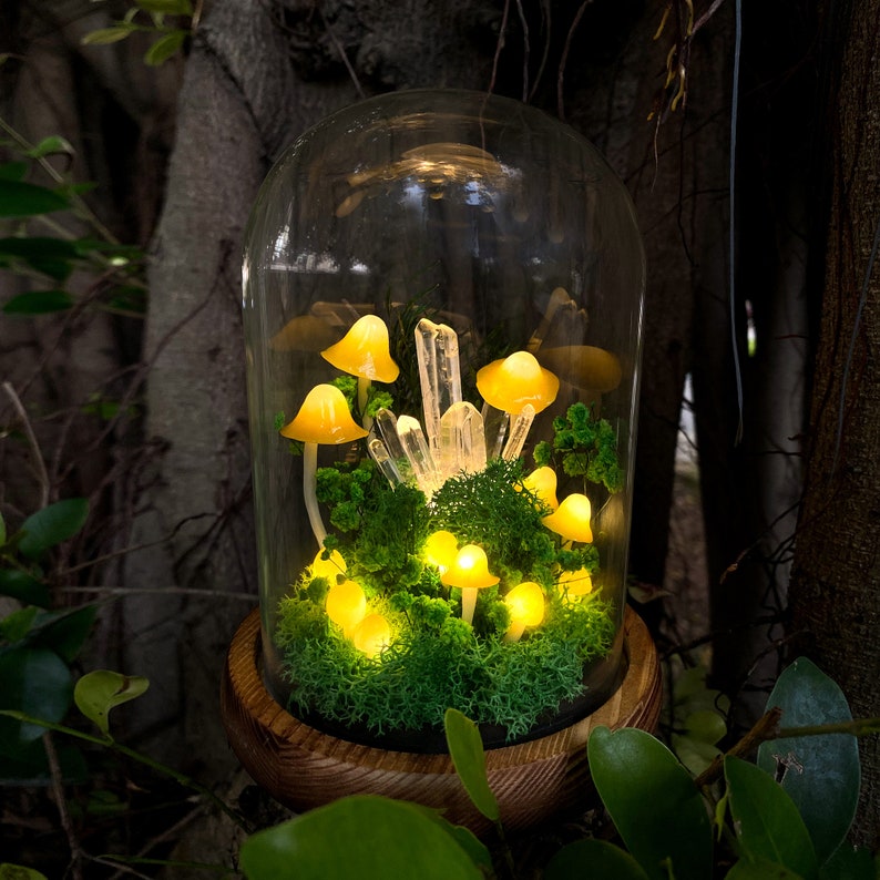 LED Mushroom Lamp with Glass Dome & Crystal, Wooden Base Night Light, 6.7 in, Battery or USB Powered
