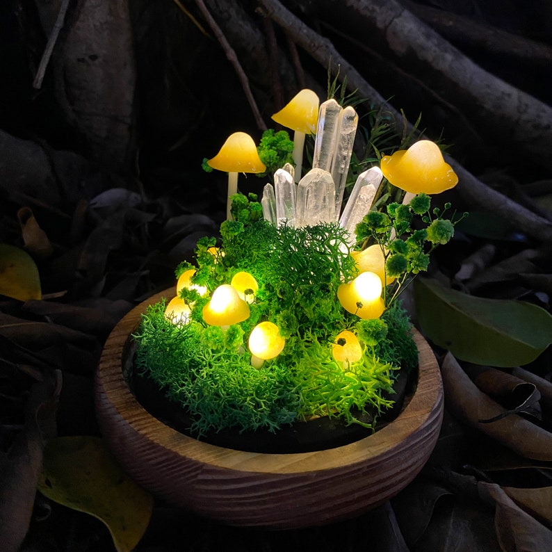 LED Mushroom Lamp with Glass Dome & Crystal, Wooden Base Night Light, 6.7 in, Battery or USB Powered