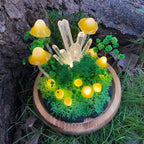 LED Mushroom Lamp with Glass Dome & Crystal, Wooden Base Night Light, 6.7 in, Battery or USB Powered