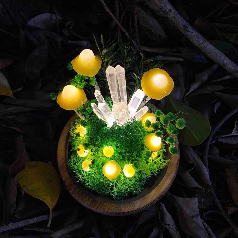 LED Mushroom Lamp with Glass Dome & Crystal, Wooden Base Night Light, 6.7 in, Battery or USB Powered
