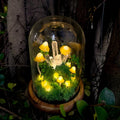 LED Mushroom Lamp with Glass Dome & Crystal, Wooden Base Night Light, 6.7 in, Battery or USB Powered