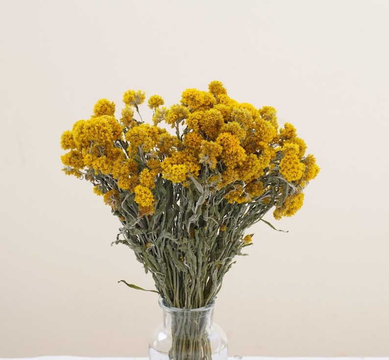 Yellow Dried Flower Bouquet, Natural Cluster Flowers, 14-Inch, Wedding & Home Decor