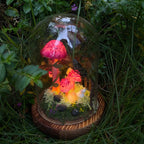 Glass Mushroom Night Light with Butterfly Rabbit Forest Scene, Battery or USB Powered