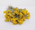 Yellow Dried Flower Bouquet, Natural Cluster Flowers, 14-Inch, Wedding & Home Decor