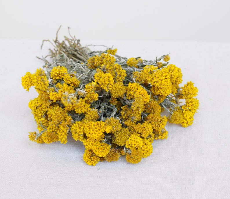 Yellow Dried Flower Bouquet, Natural Cluster Flowers, 14-Inch, Wedding & Home Decor