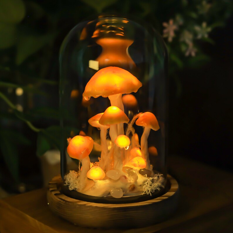 Orange Mushroom Lamp with Glass Cover and Wooden Base, Battery or USB Powered Night Light Desk Lamp