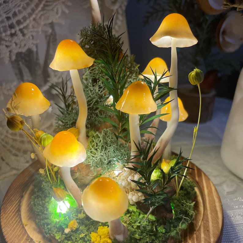 Mushroom Night Light, Handmade Glass Lamp with Wooden Base, Orange, Battery or USB Powered, 15 cm