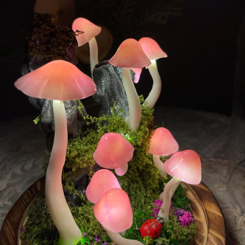 Pink Mushroom Night Light, Handmade Clay Lamp with Wooden Base, Battery or USB Powered, 15cm