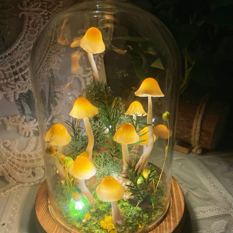 Mushroom Night Light, Handmade Glass Lamp with Wooden Base, Orange, Battery or USB Powered, 15 cm