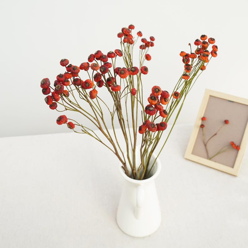 Natural Dried Rose Fruits on Stem, Orange Red Berry Branch, 40-45 cm, 8-10 Stems