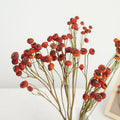 Natural Dried Rose Fruits on Stem, Orange Red Berry Branch, 40-45 cm, 8-10 Stems
