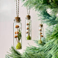 Miniature Mushroom Terrarium Glass Ornament with Dried Florals and Mosses, 3.35 Inch