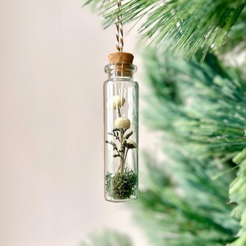 Miniature Mushroom Terrarium Glass Ornament with Dried Florals and Mosses, 3.35 Inch