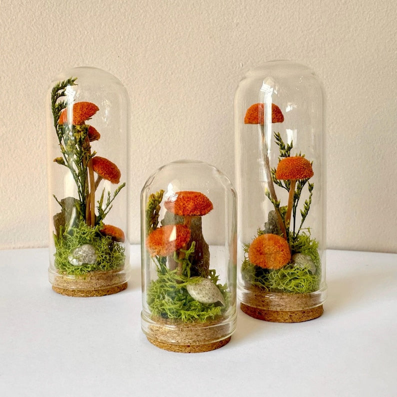 Handmade Glass Terrarium Diorama with Dried Florals and Mosses, Mini Mushroom Theme