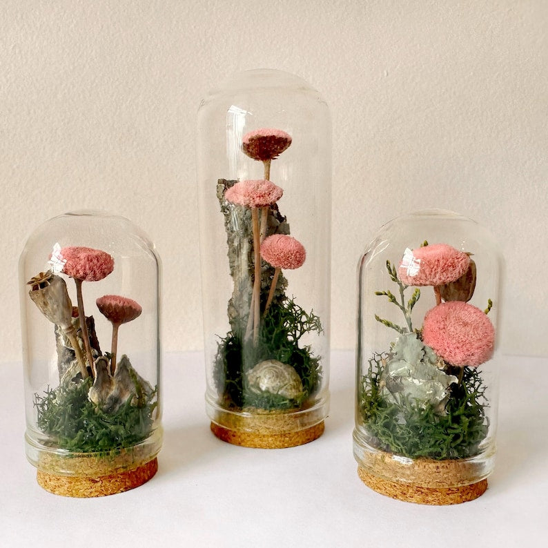Handmade Glass Terrarium Diorama with Dried Florals and Mosses, Mini Mushroom Theme