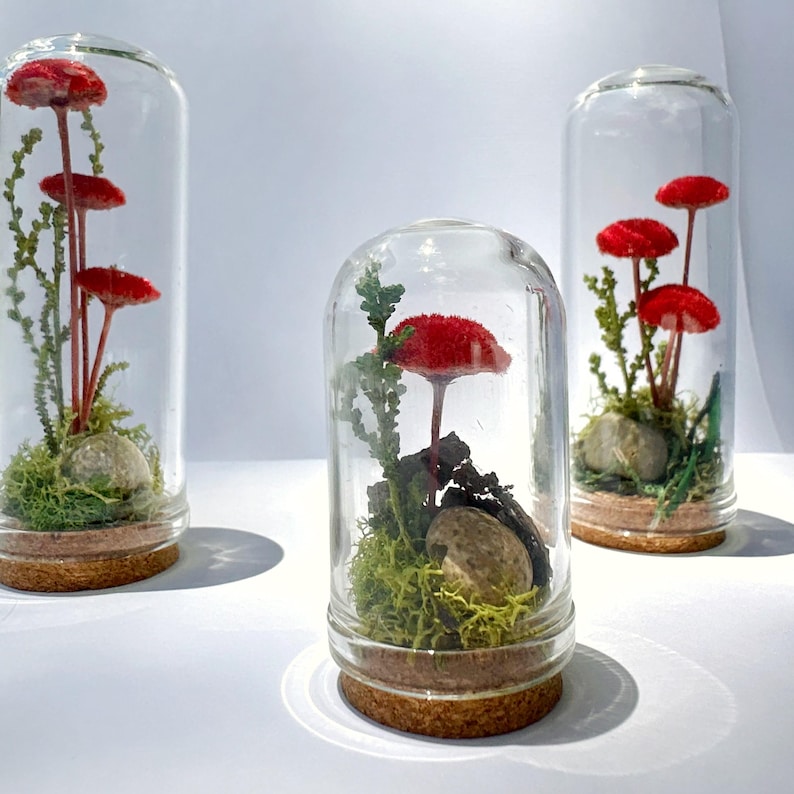 Handmade Glass Terrarium Diorama with Dried Florals and Mosses, Mini Mushroom Theme