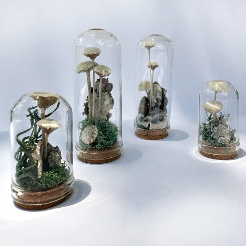 Handmade Glass Terrarium Diorama with Dried Florals and Mosses, Mini Mushroom Theme