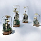 Handmade Glass Terrarium Diorama with Dried Florals and Mosses, Mini Mushroom Theme