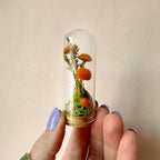 Handmade Glass Terrarium Diorama with Dried Florals and Mosses, Mini Mushroom Theme