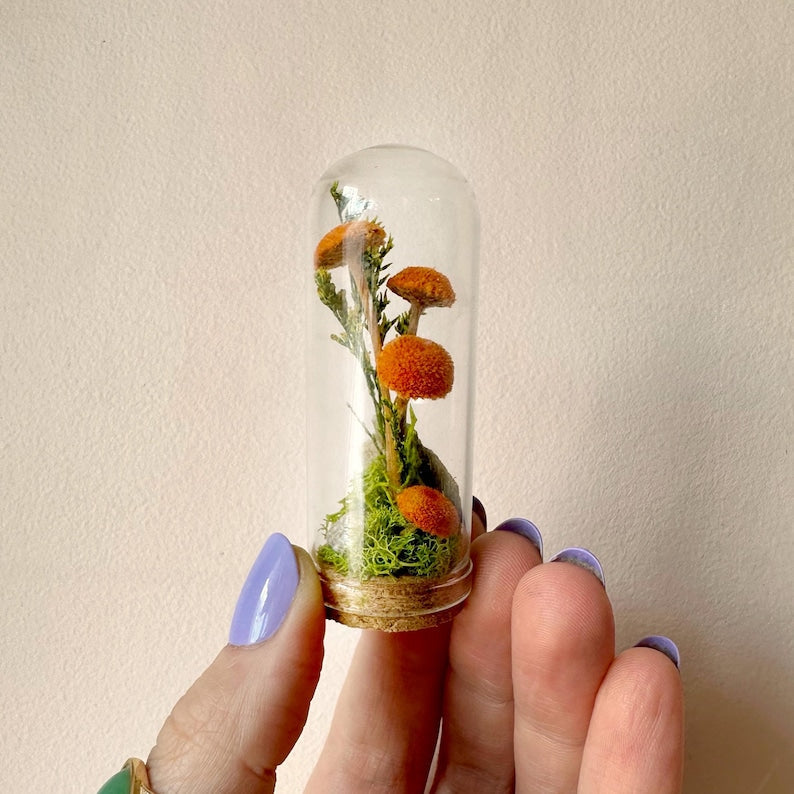Handmade Glass Terrarium Diorama with Dried Florals and Mosses, Mini Mushroom Theme