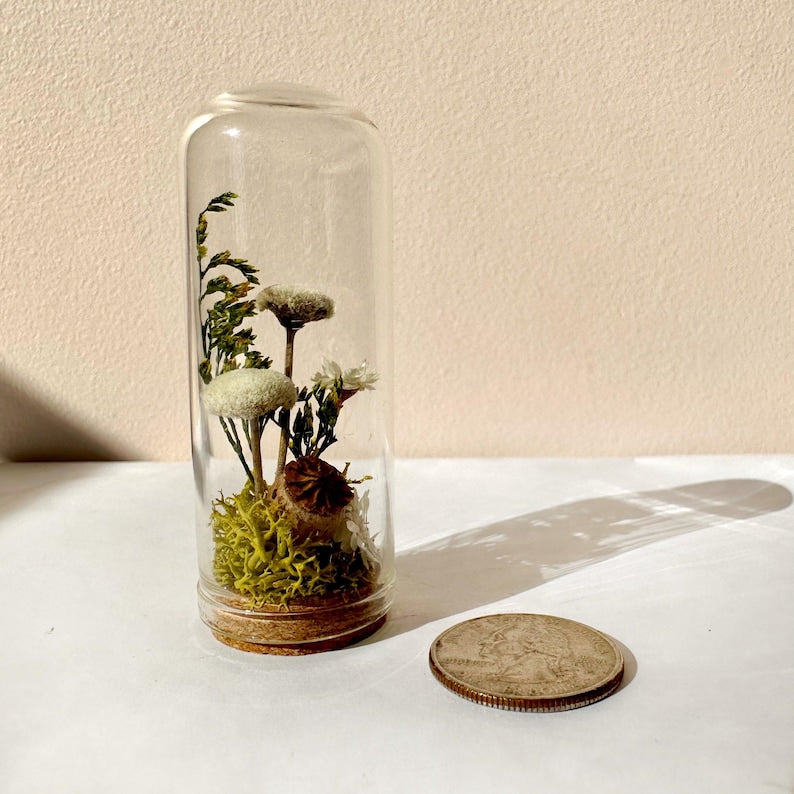 Glass Cloche Terrarium with Real Moss and White Dried Flowers, 2 Sizes