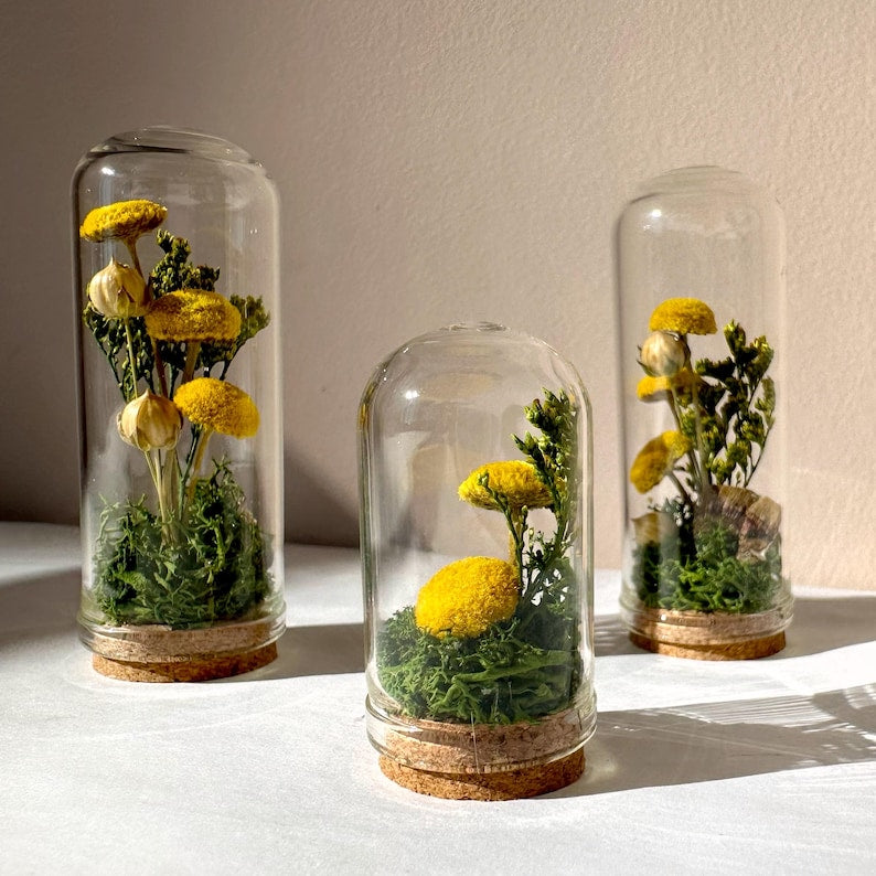 Handmade Glass Terrarium Diorama with Dried Florals and Mosses, Mini Mushroom Theme