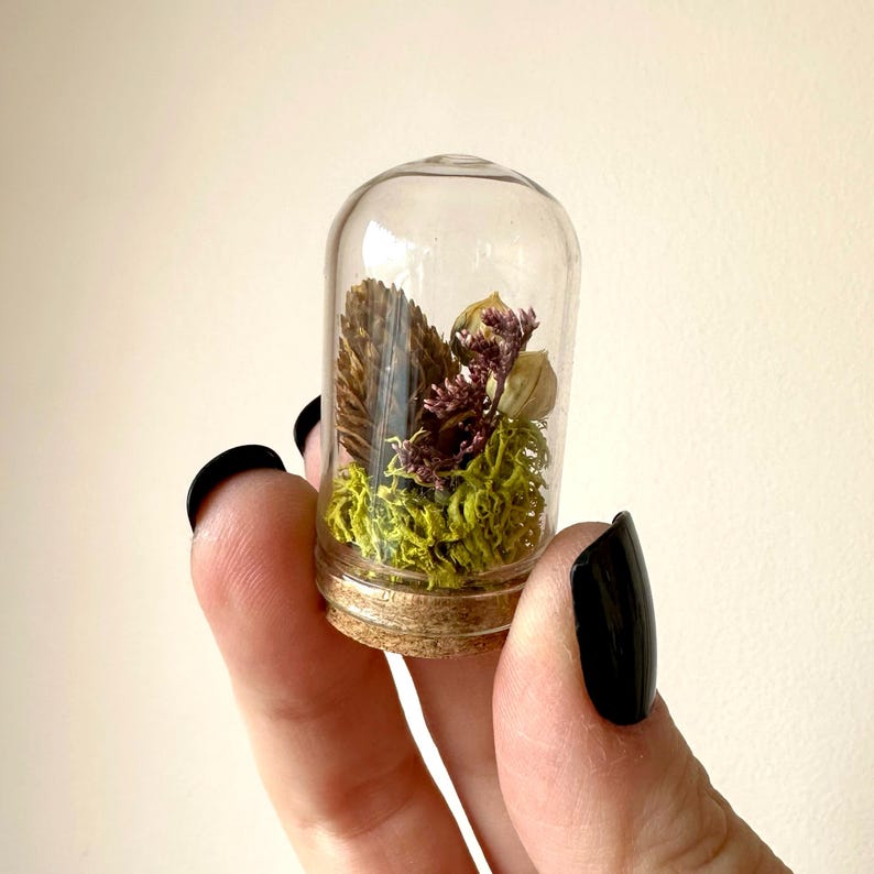 Mini Glass Cloche Terrarium with Dried Moss & Pinecone, 1.75" and 2.75" Tall