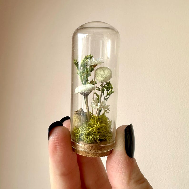 Glass Cloche Terrarium with Real Moss and White Dried Flowers, 2 Sizes