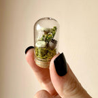 Glass Cloche Terrarium with Real Moss and White Dried Flowers, 2 Sizes