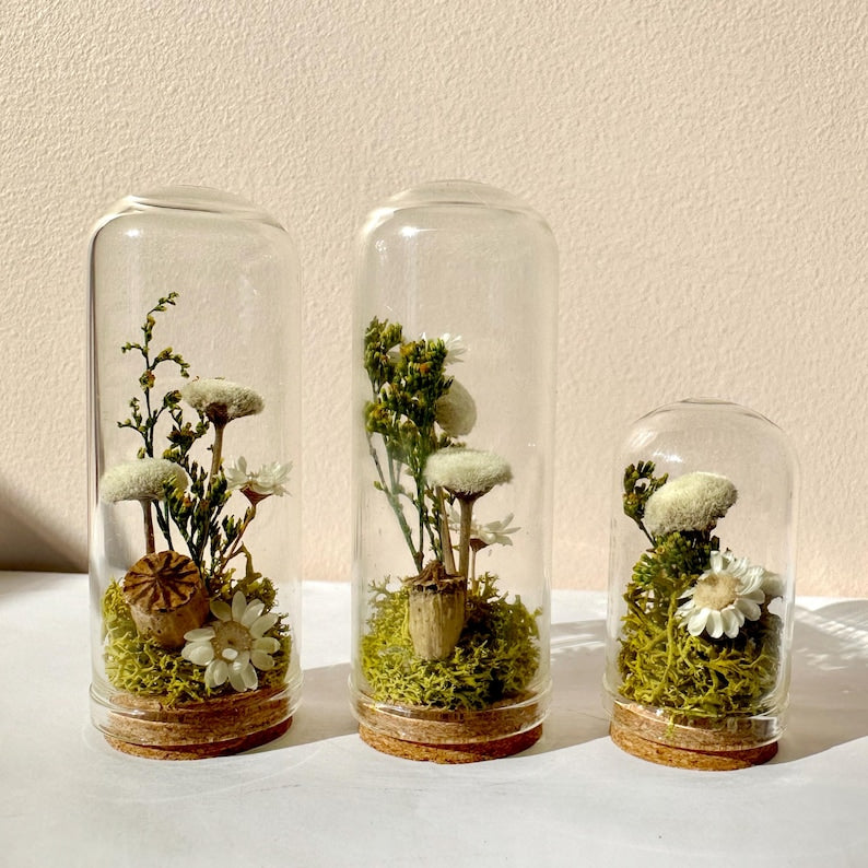 Glass Cloche Terrarium with Real Moss and White Dried Flowers, 2 Sizes