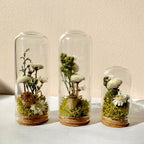 Glass Cloche Terrarium with Real Moss and White Dried Flowers, 2 Sizes