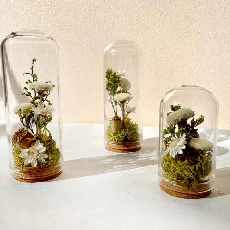 Glass Cloche Terrarium with Real Moss and White Dried Flowers, 2 Sizes