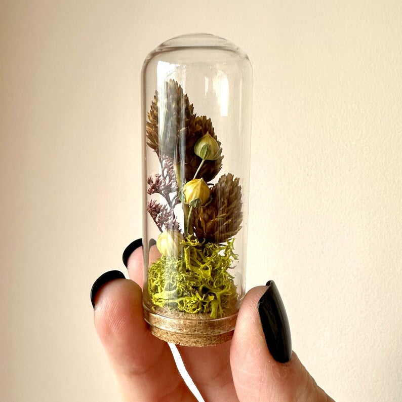 Mini Glass Cloche Terrarium with Dried Moss & Pinecone, 1.75" and 2.75" Tall