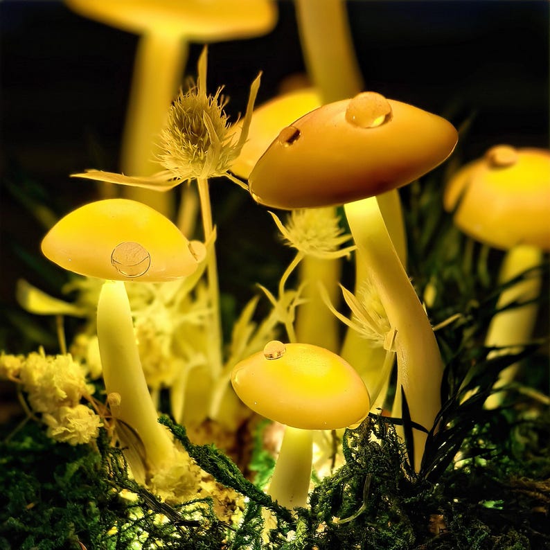 LED Mushroom Lamp with Dried Flowers & Wooden Base, 12cm Diameter, 17.5cm Height, Battery or USB Powered