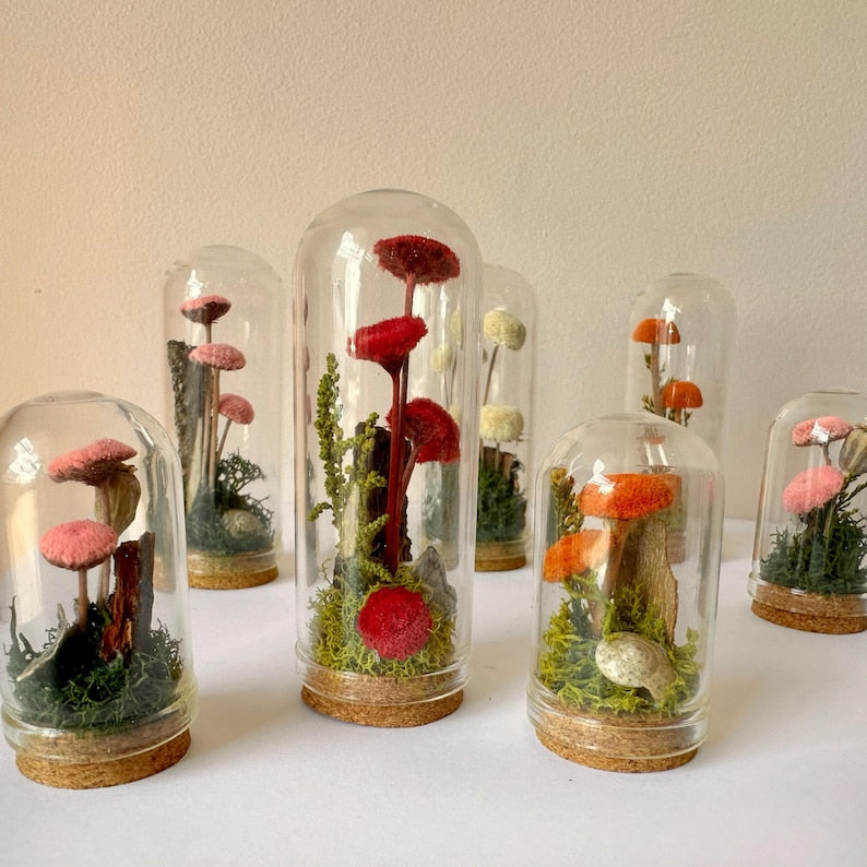Handmade Glass Terrarium Diorama with Dried Florals and Mosses, Mini Mushroom Theme