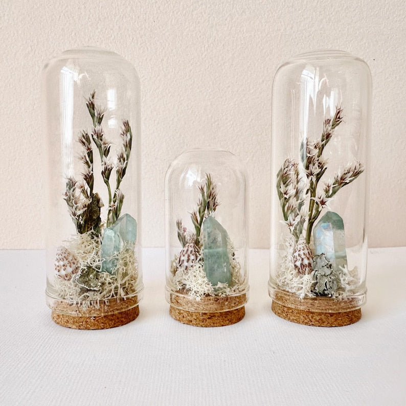 Glass Beach Terrarium Diorama with Dried Florals, Shells & Moss