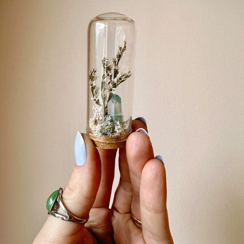 Glass Beach Terrarium Diorama with Dried Florals, Shells & Moss