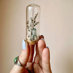 Glass Beach Terrarium Diorama with Dried Florals, Shells & Moss