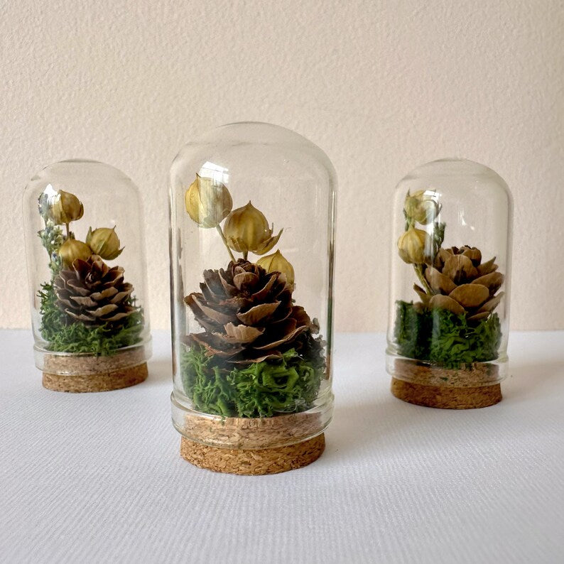 Glass Cloche Terrarium with Dried Florals, Moss & Pinecone