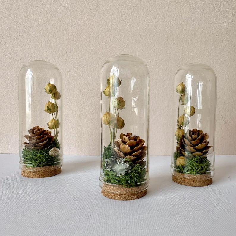 Glass Cloche Terrarium with Dried Florals, Moss & Pinecone