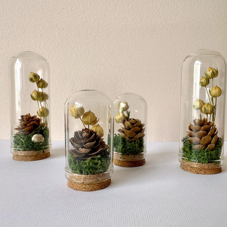 Glass Cloche Terrarium with Dried Florals, Moss & Pinecone