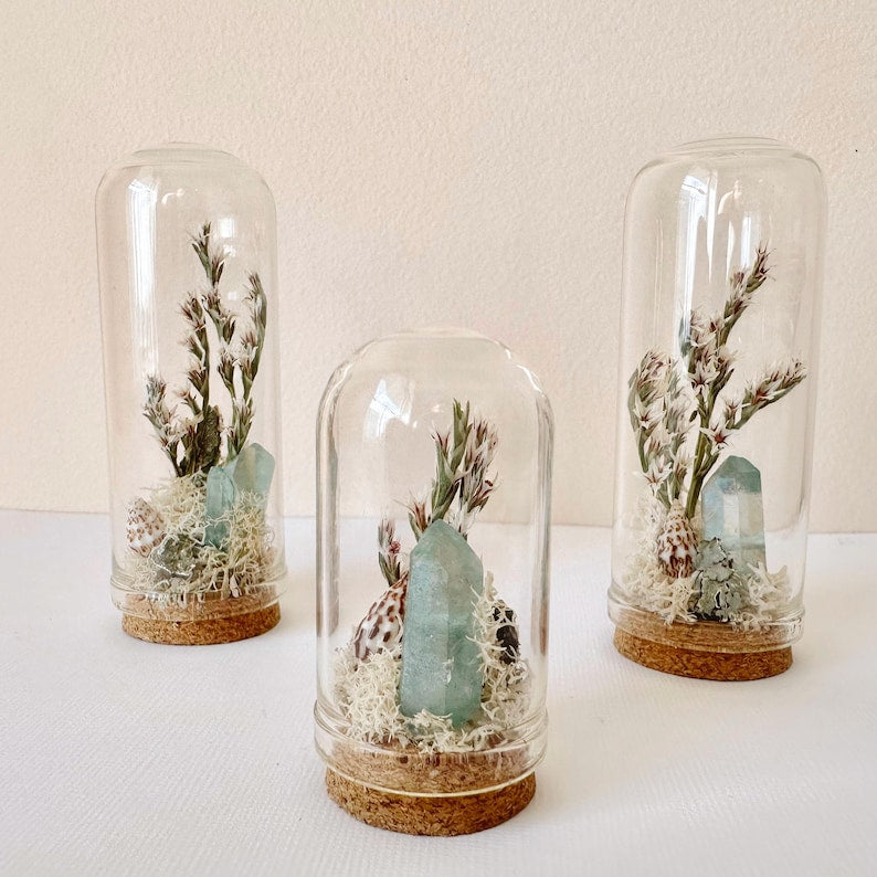 Glass Beach Terrarium Diorama with Dried Florals, Shells & Moss
