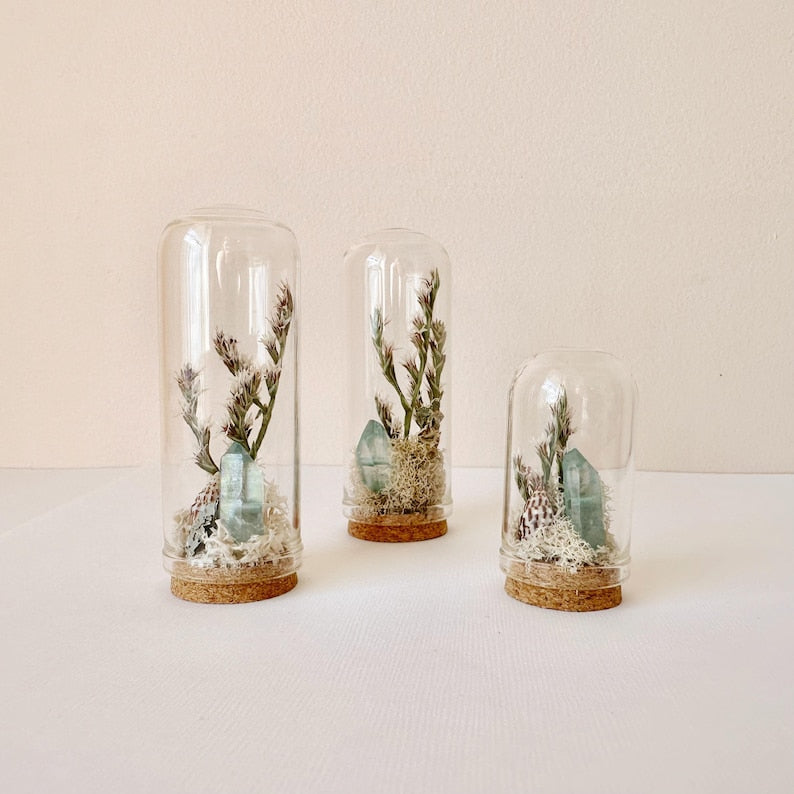 Glass Beach Terrarium Diorama with Dried Florals, Shells & Moss