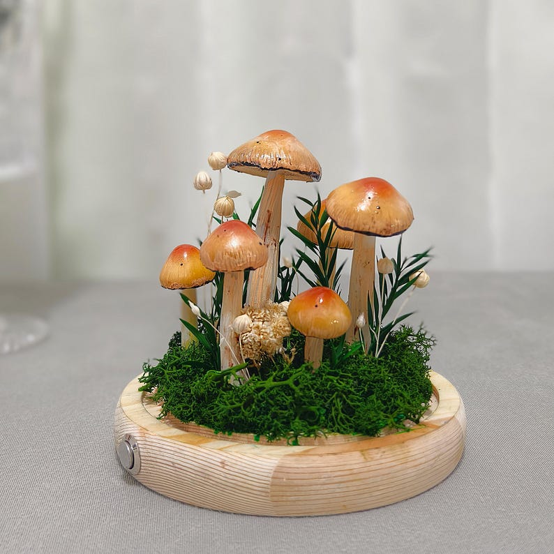 LED Mushroom Lamp with Dried Flowers and Wooden Base, 12cm Diameter, 17.5cm Height, Battery or USB Powered