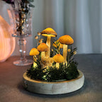 LED Mushroom Lamp with Dried Flowers and Wooden Base, 12cm Diameter, 17.5cm Height, Battery or USB Powered
