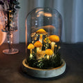 LED Mushroom Lamp with Dried Flowers and Wooden Base, 12cm Diameter, 17.5cm Height, Battery or USB Powered